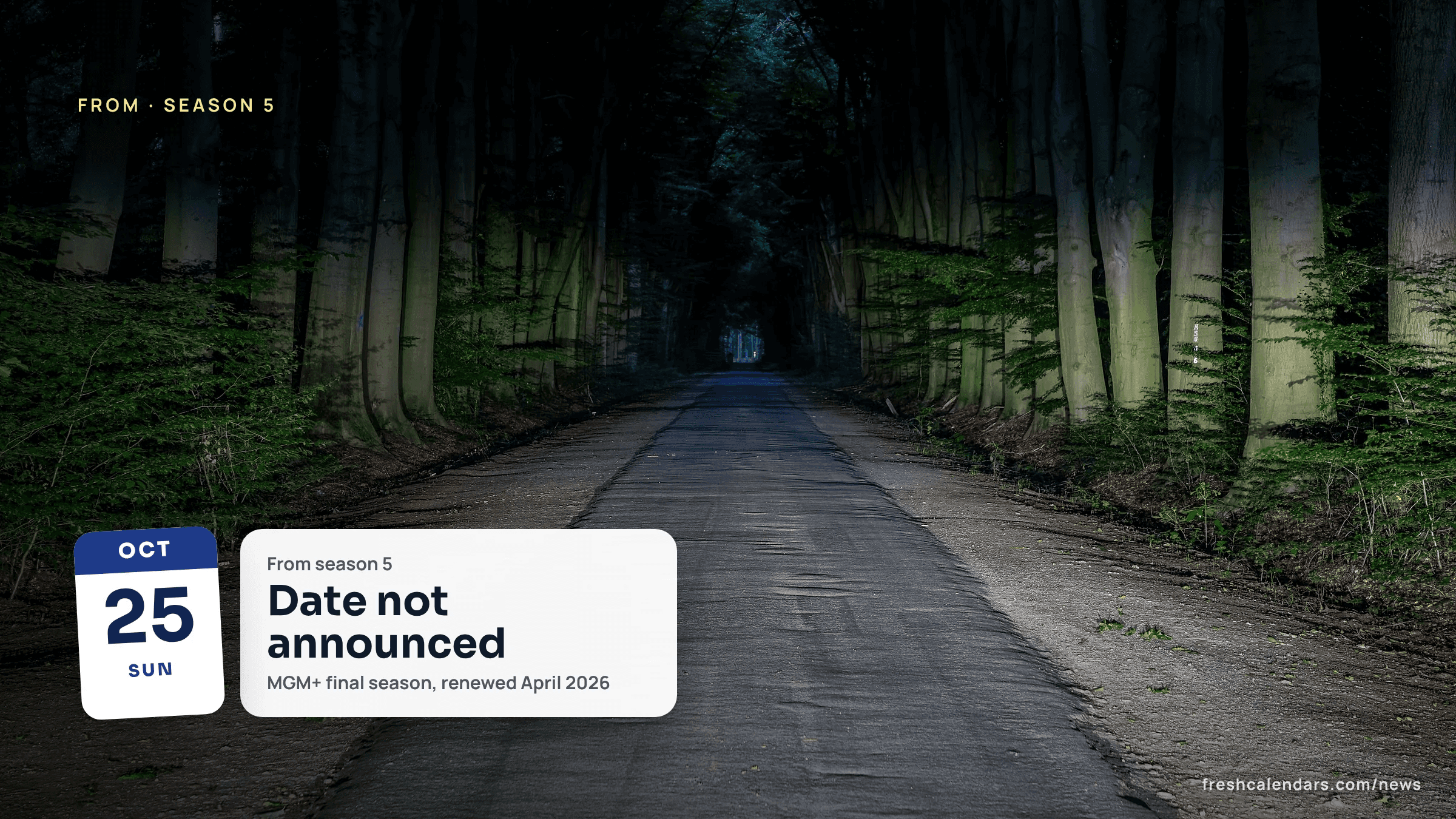 From season 5 release date not yet announced: a dark paved road running between tall trees into a forest