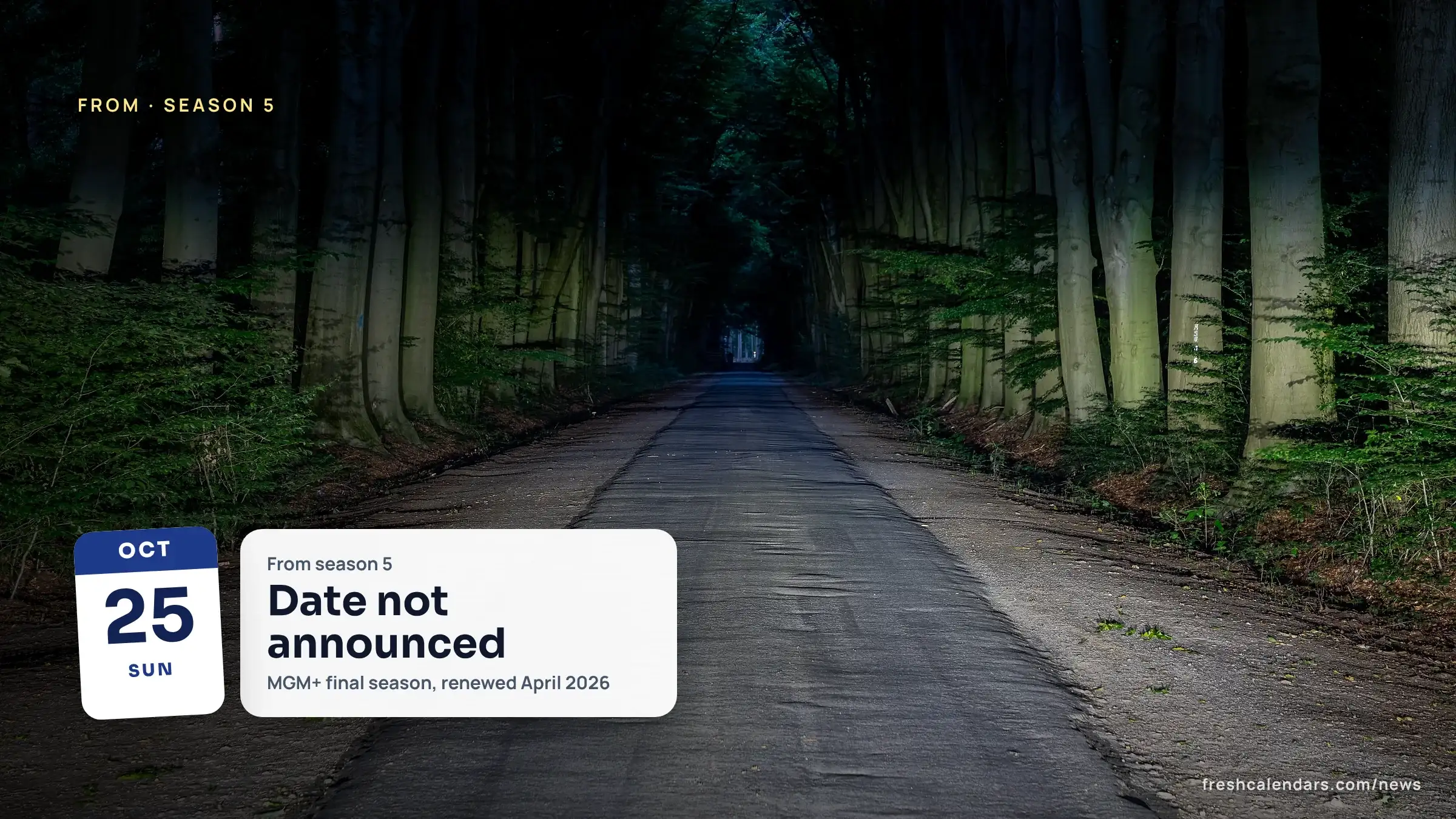 From season 5 release date not yet announced: a dark paved road running between tall trees into a forest