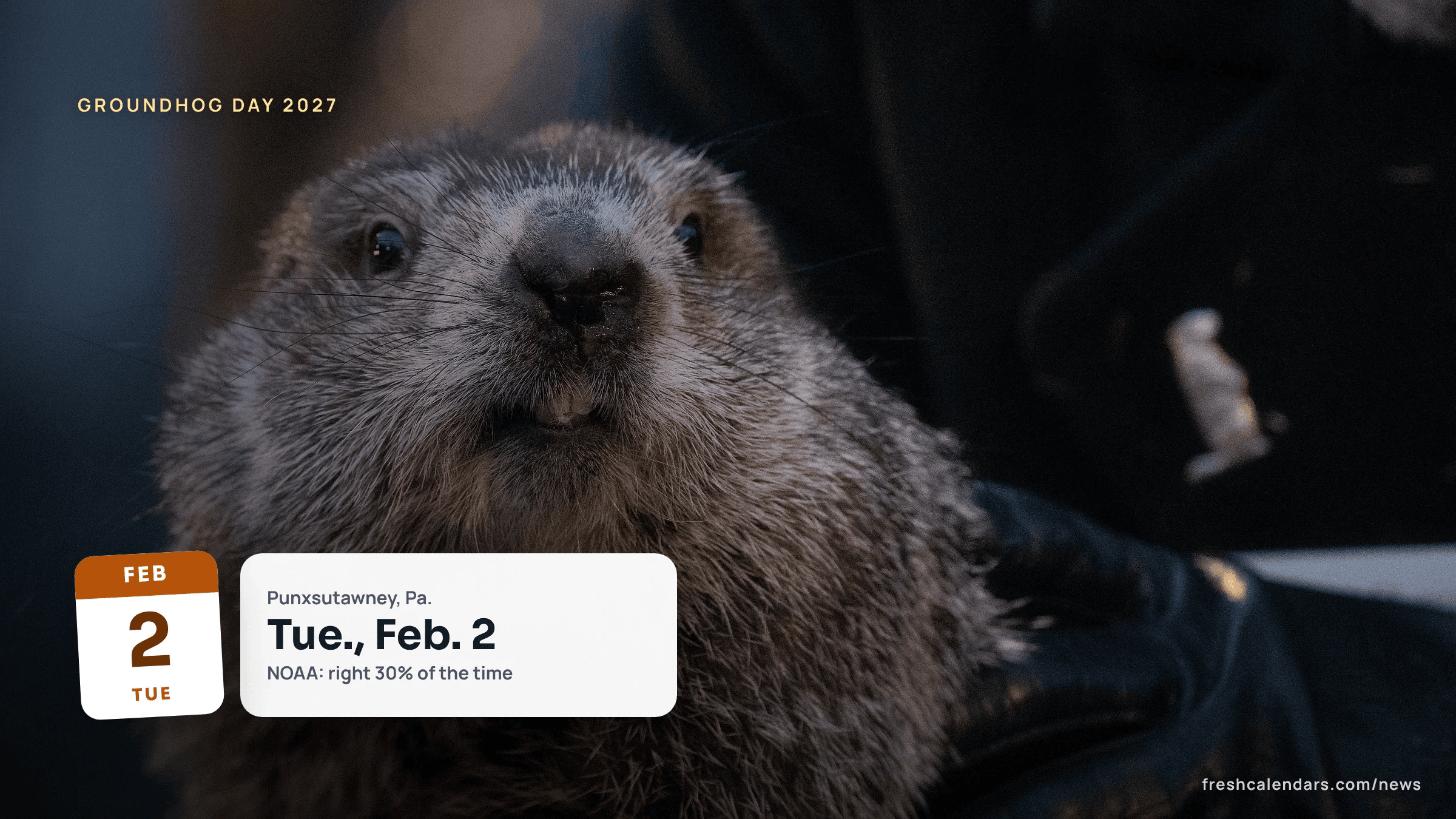 Punxsutawney Phil held up on Groundhog Day in Pennsylvania, a file photo for Groundhog Day 2027
