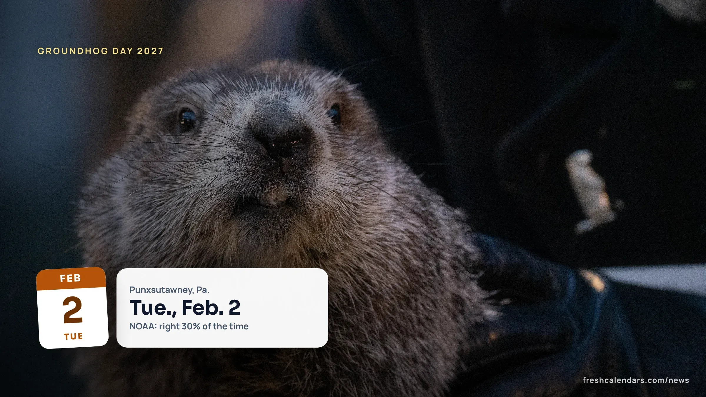 Punxsutawney Phil held up on Groundhog Day in Pennsylvania, a file photo for Groundhog Day 2027