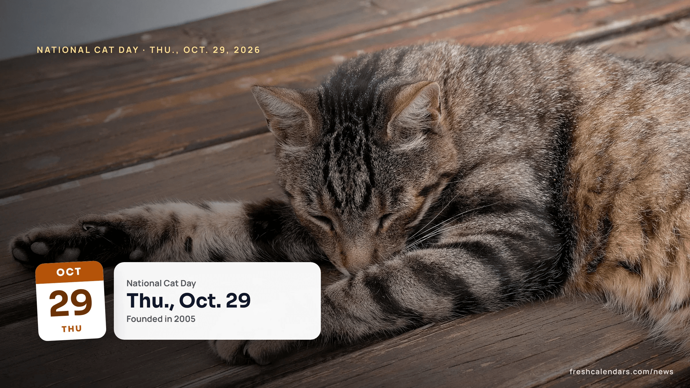 A tabby cat resting on a wooden deck, for National Cat Day 2026 on Thursday, Oct. 29